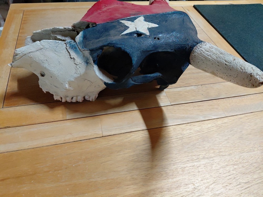 bull skull with Texas Flag