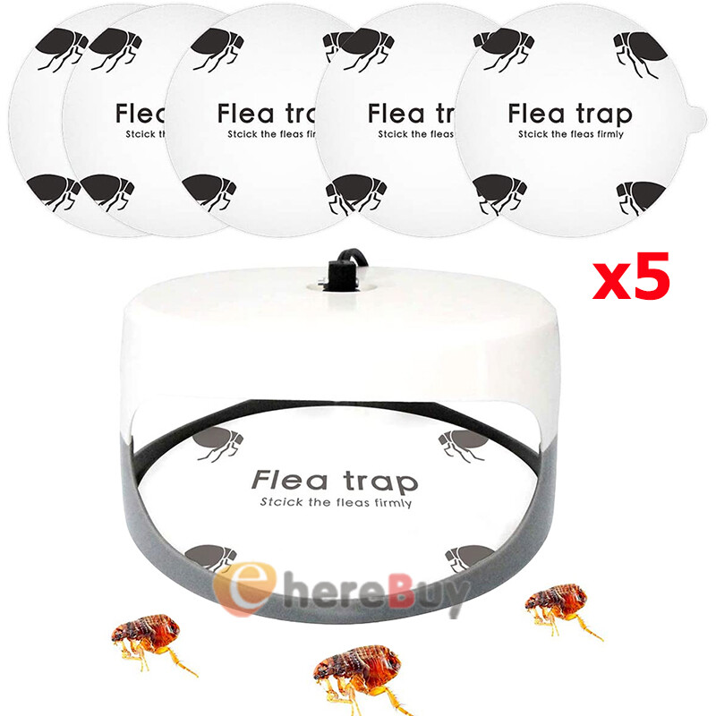 5Pcs Disposable Flea Trap Sticker Bug Dome Flea Trap Refill Flea Glue Discs Safe