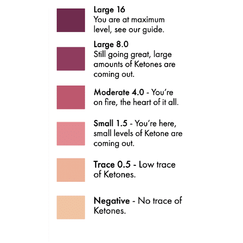 Diastix Reagent Strips Urinalysis Glucose Test Diagnostic Use 50 Count