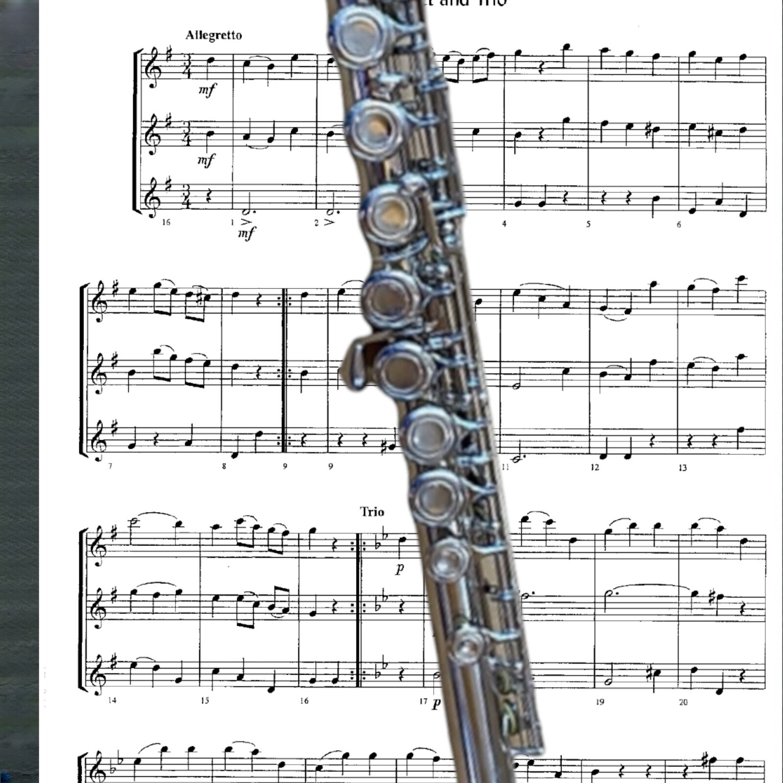 FLUTE-NEW STUDENT/ INTERMEDIATE/PRO CONCERT SILVER BAND FLUTES-WITH YAMAHA PADS