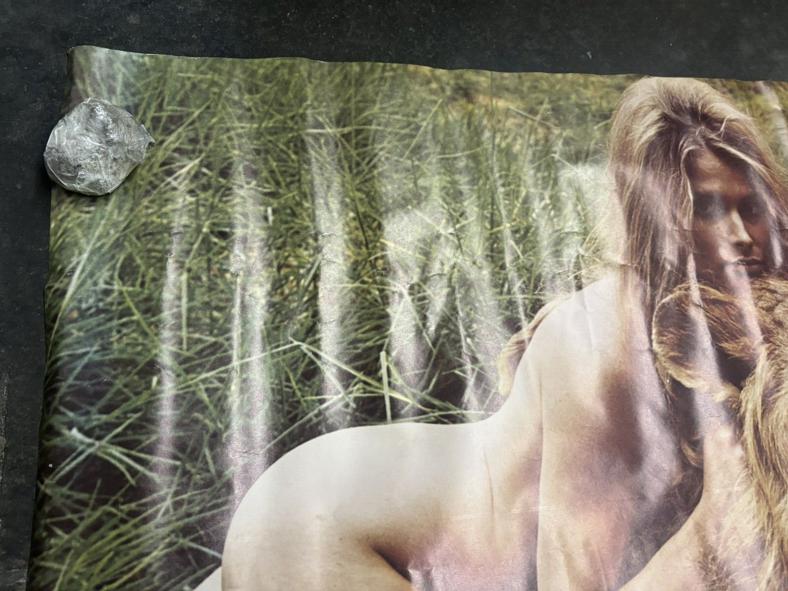 Girl with lion 1970's vintage Poster hot girl C2538