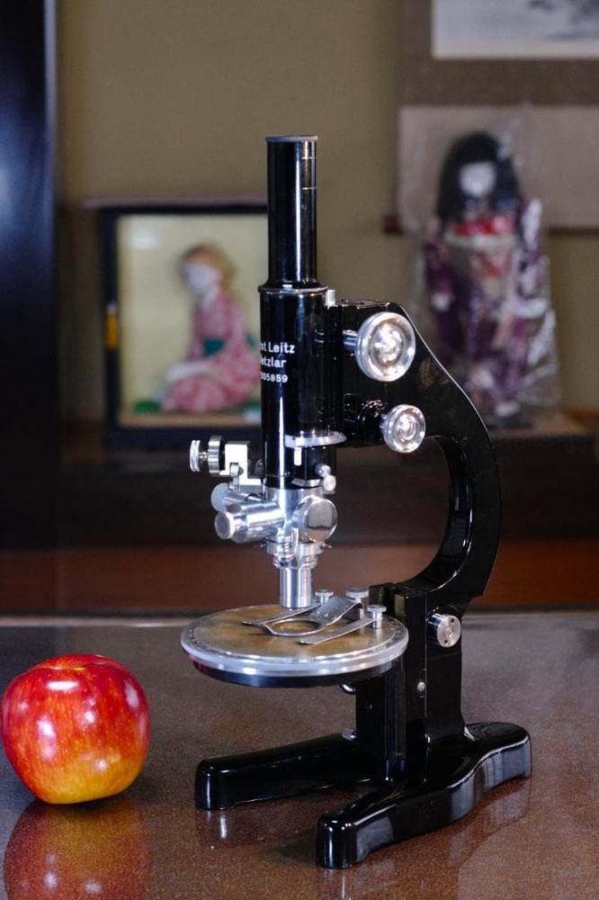 microscope antique collectible Ernst Leitz's "MOP" Polarizing Microscope