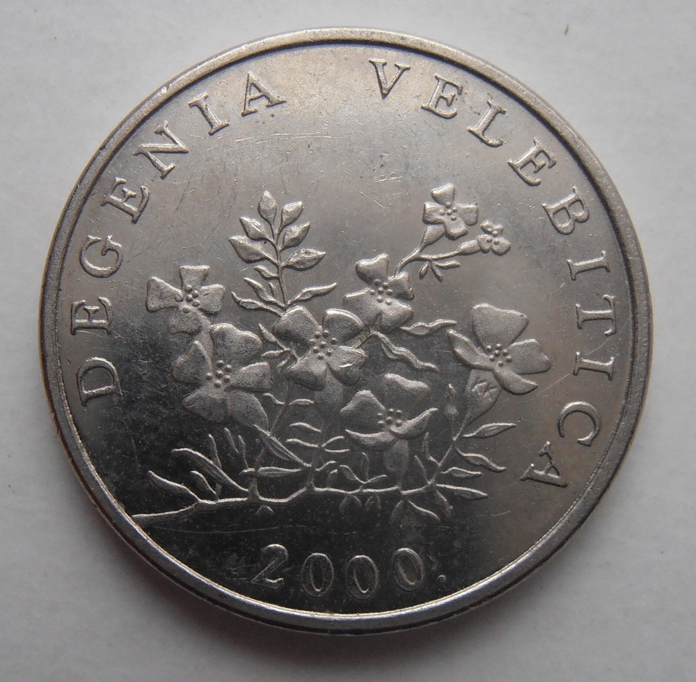 CROATIA 50 LIPA 2000