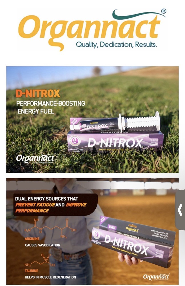 Equine Athletic Performance Supplement - Pre-Competition Formula