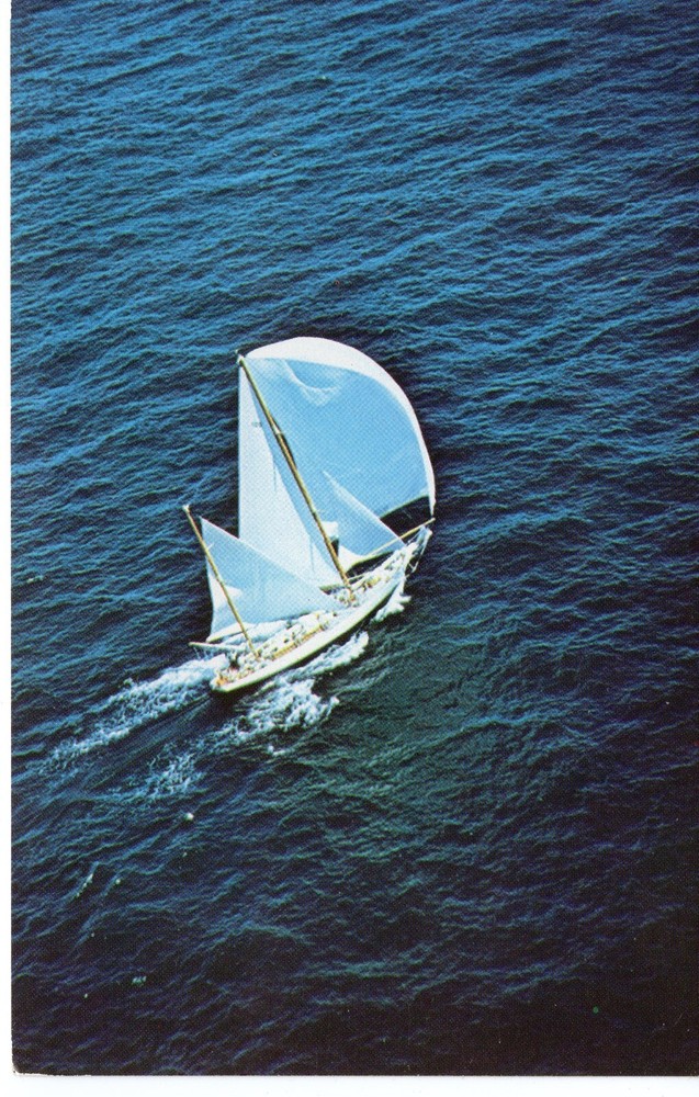 RACING UNDER FULL SAIL  - PC5125