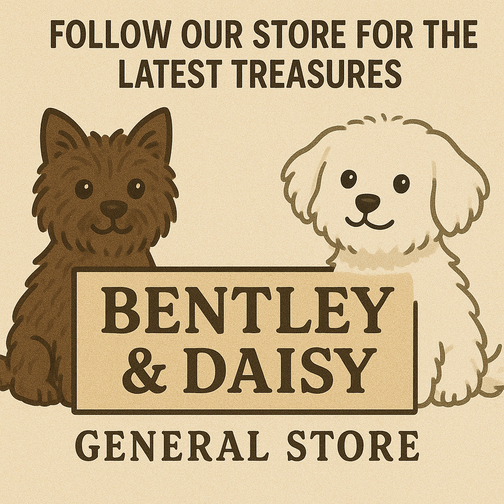 Breadman TR450 Bread Maker Machine 1.5 lb Open Box Never Used Complete