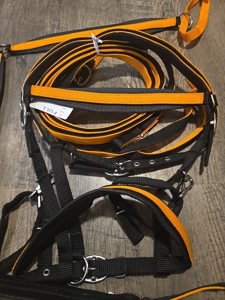 Horse Bridle Set