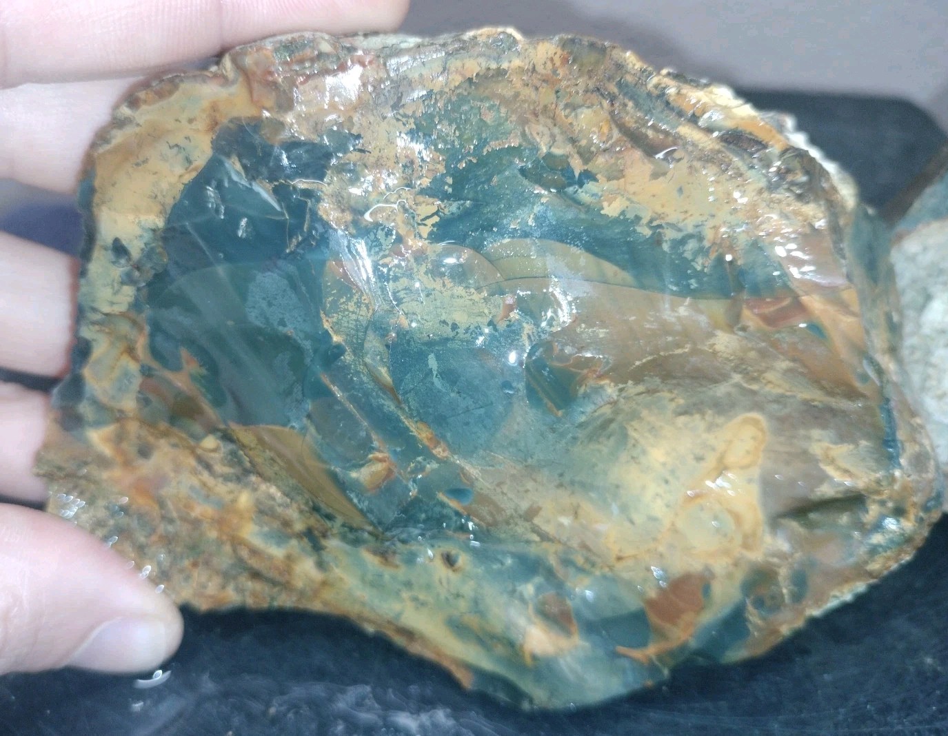 8.7LB ORBS Blue Mountain Picture  Jasper Rough 6pc Lot #27