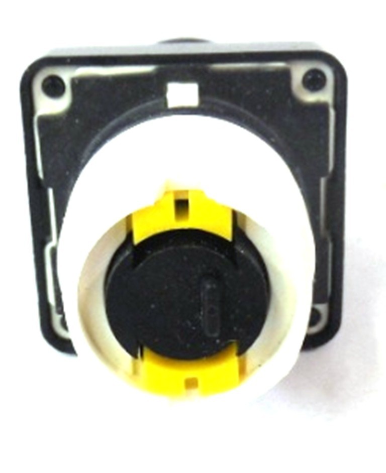 TELEMECANIQUE ROTARY KEY SWITCH D1L10