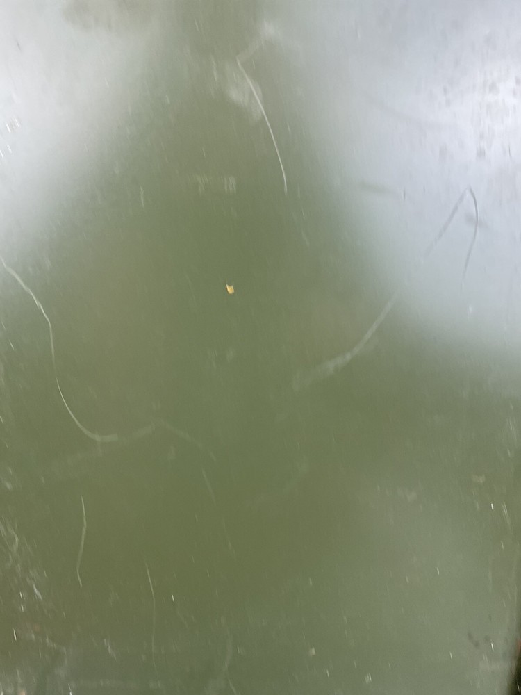 C.1940 Microscope Slide Cabinets ~ Paragon C&C Co. NY, Stackable, 12 Drawers