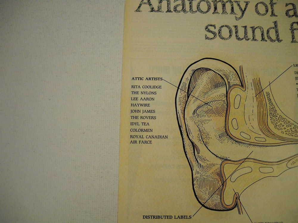 LEE AARON Digital Underground TOM ROBINSON Sybil HAYWIRE 1991 Promo Display Ad