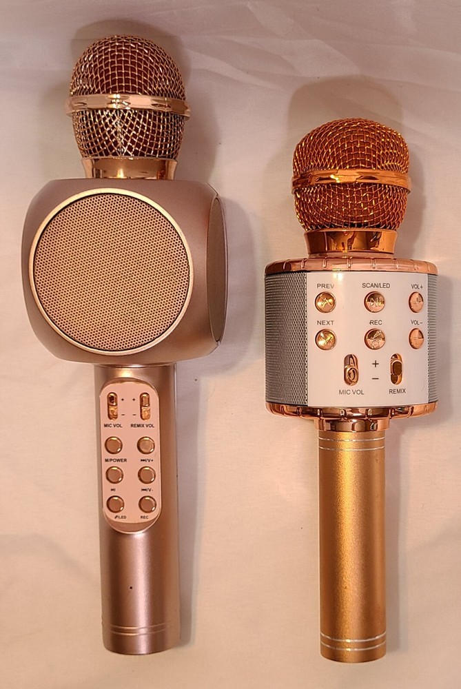 Karaoke Wireless Microphones