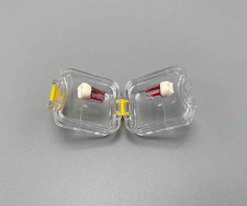 20Pcs Denture False Teeth Membrane Case Container Hinged Display Box Jewelry USA