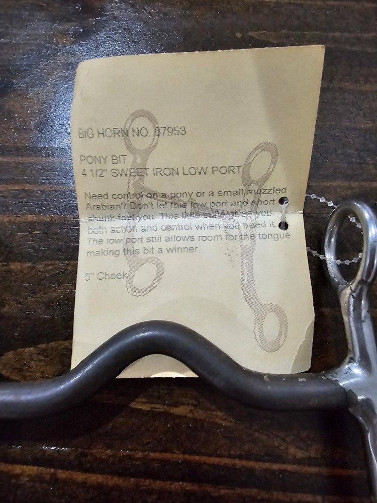 Big Horn Bit Master Solid Mouth Pony Bit