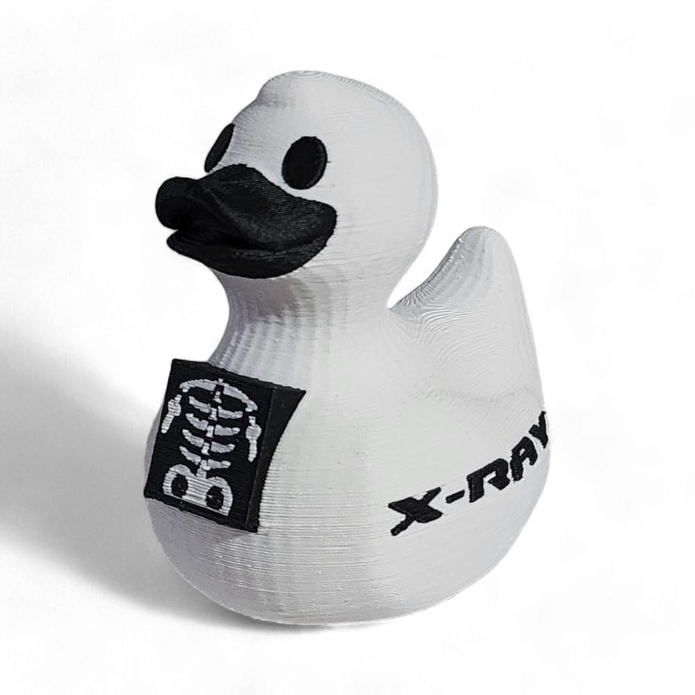 X-Ray Tech Duck