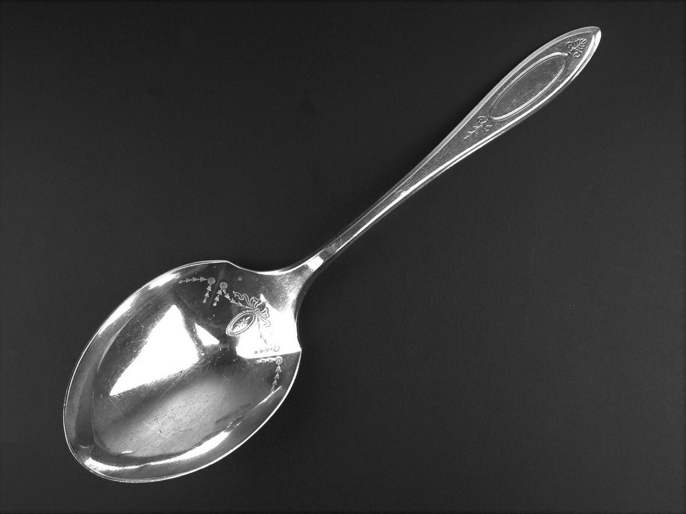 Berry Serving Spoon Oneida Community Plate Adam 1917 Silverplate