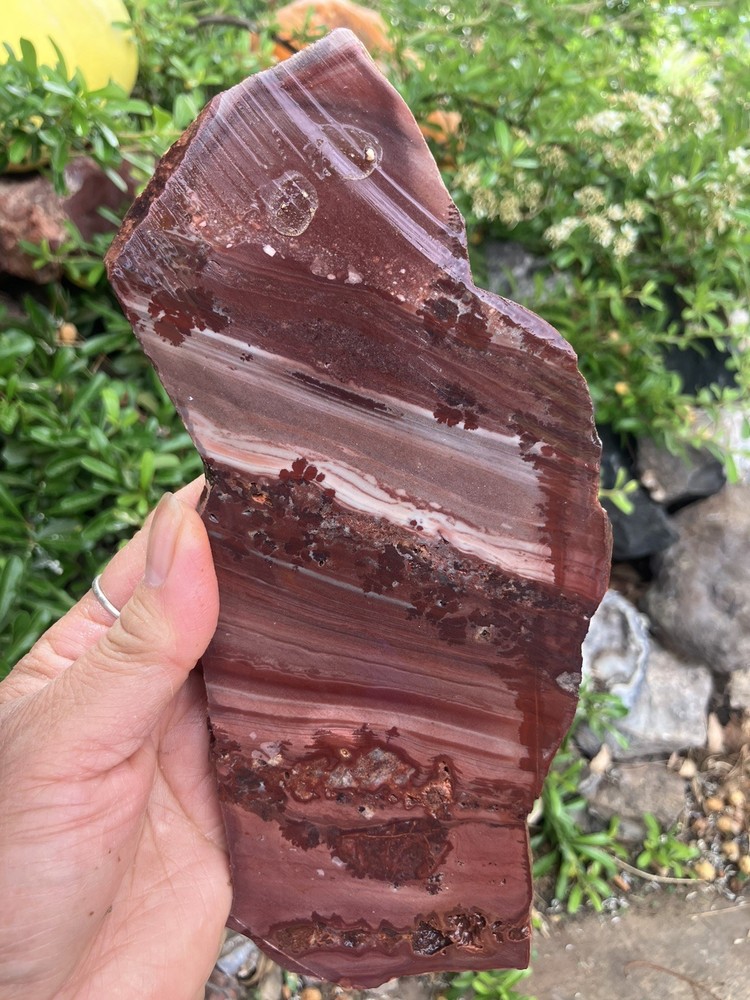 Apache Rhyolite Slab