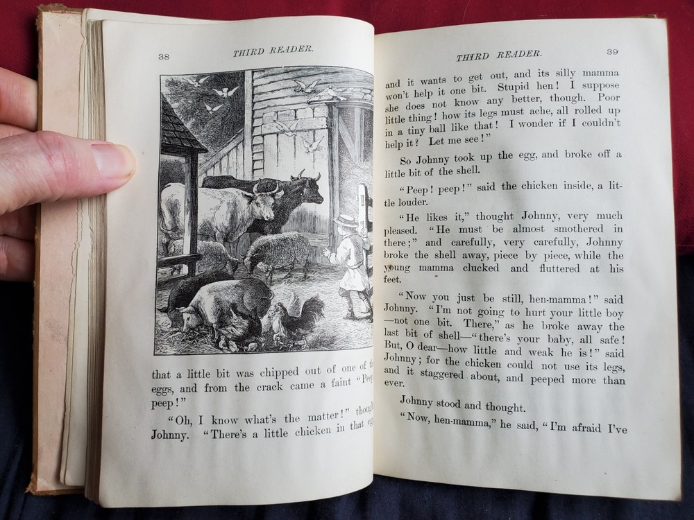 1877 Appletons' School Readers - Third Reader (Hardcover)(149 YEARS OLD!)