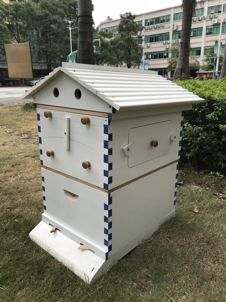 Big Auto Seep Beehive Honey Bee Hive Box Beekeeping Boxes + 7xPlastic Bee Frames