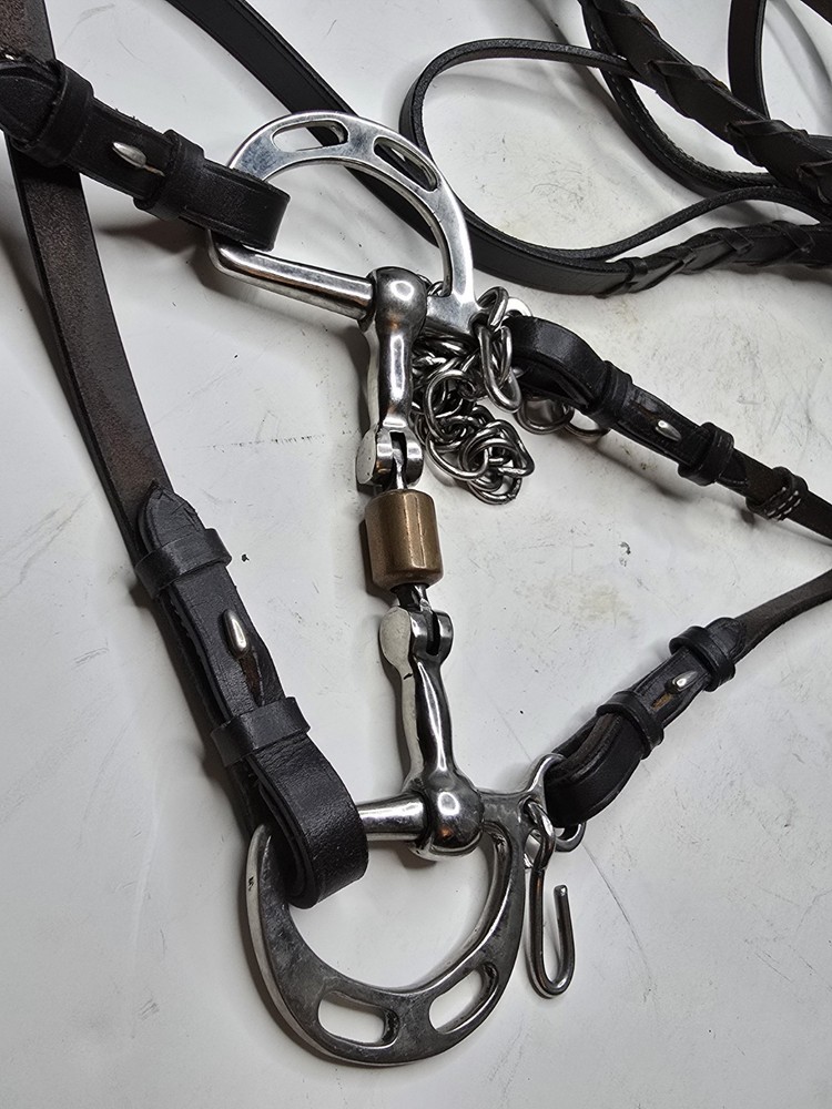 horse bridle with bit