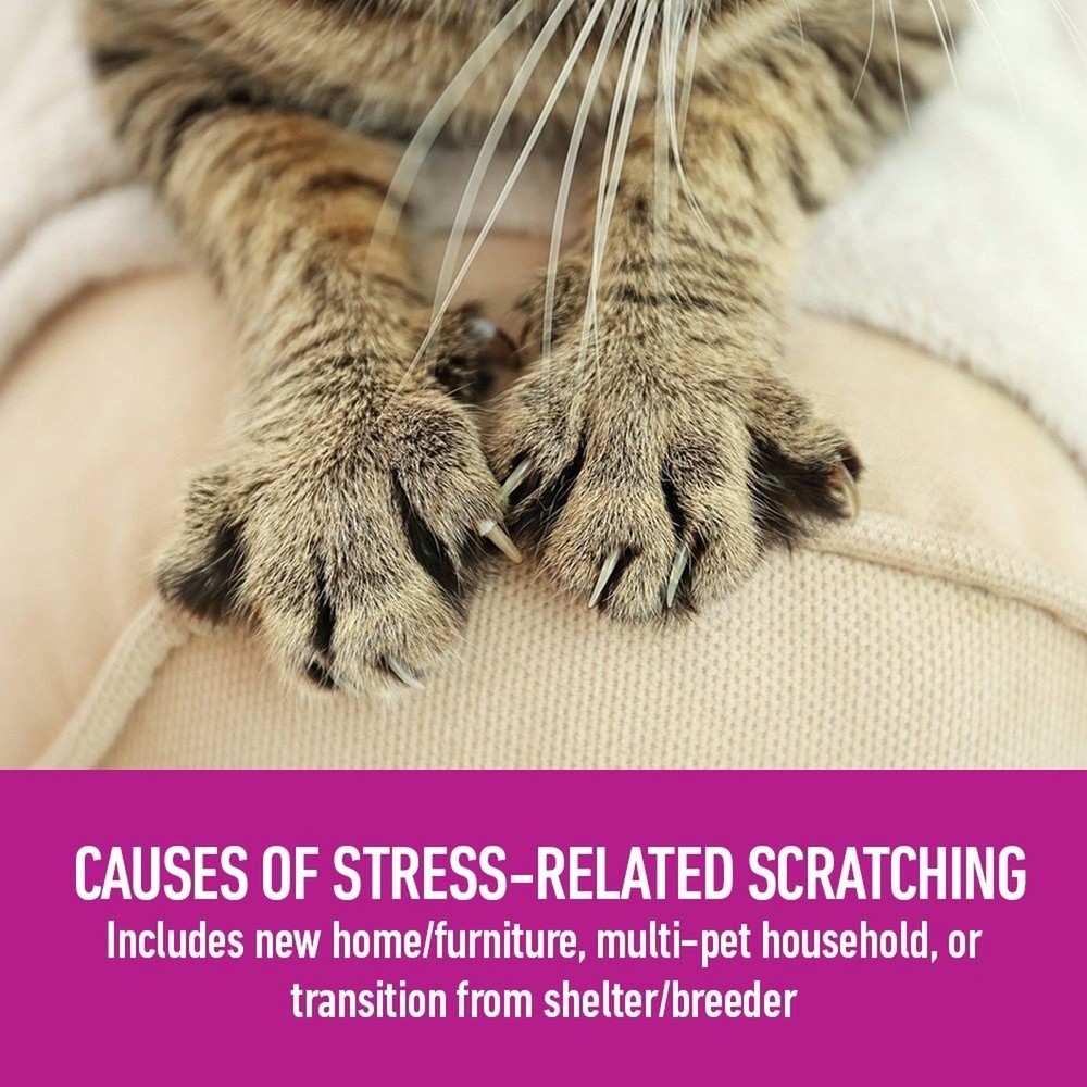6-PACK Comfort Zone Feliway 48 ml REFILL for Diffuser Cat Behavior Stress Relief