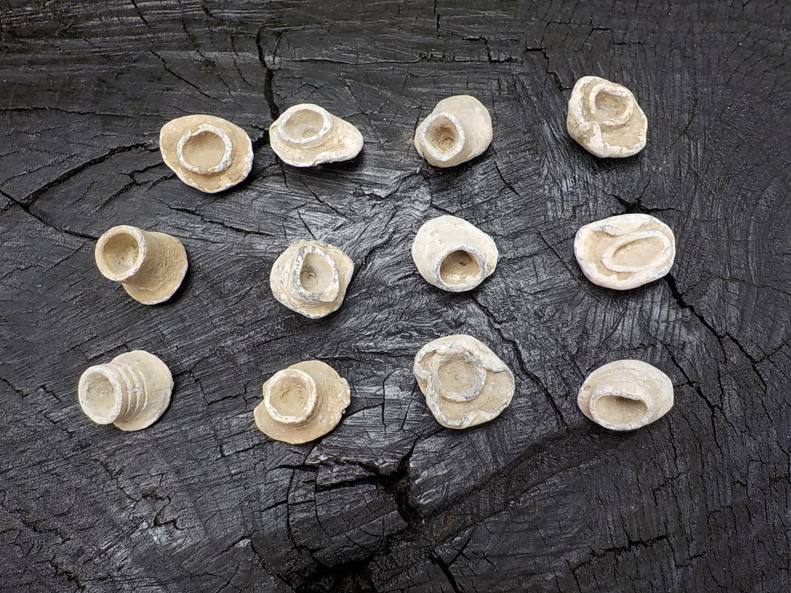 Old Rare Vintage Civil War Miniball Direct Hit Recovered in Appomattox Virginia