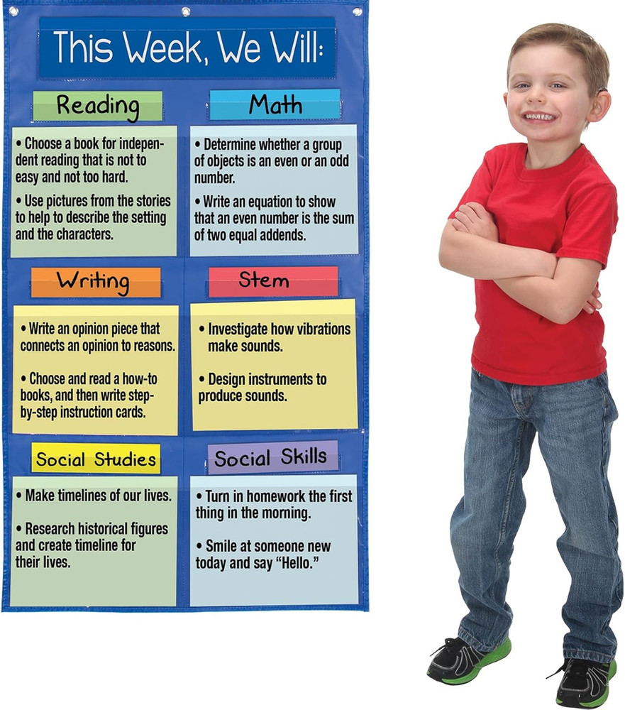 Learning Goals Pocket Chart - 1 Pocket Chart, 14 Cards