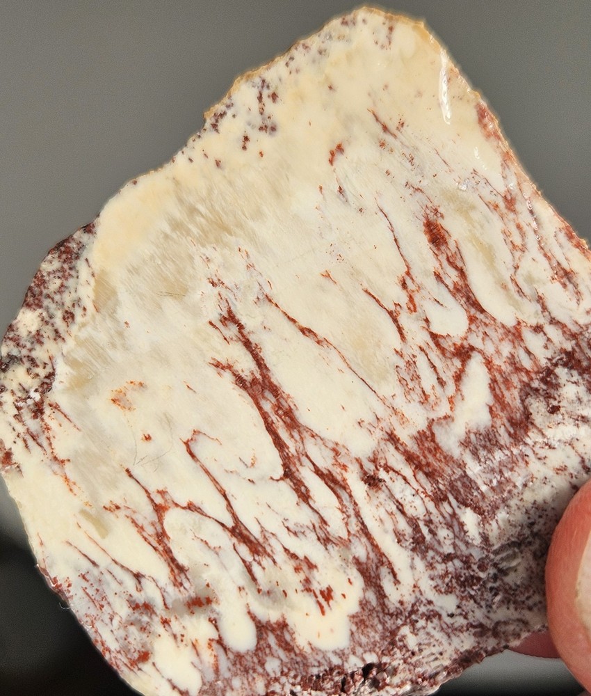 Alunite Lapidary Slabs 85 Grams