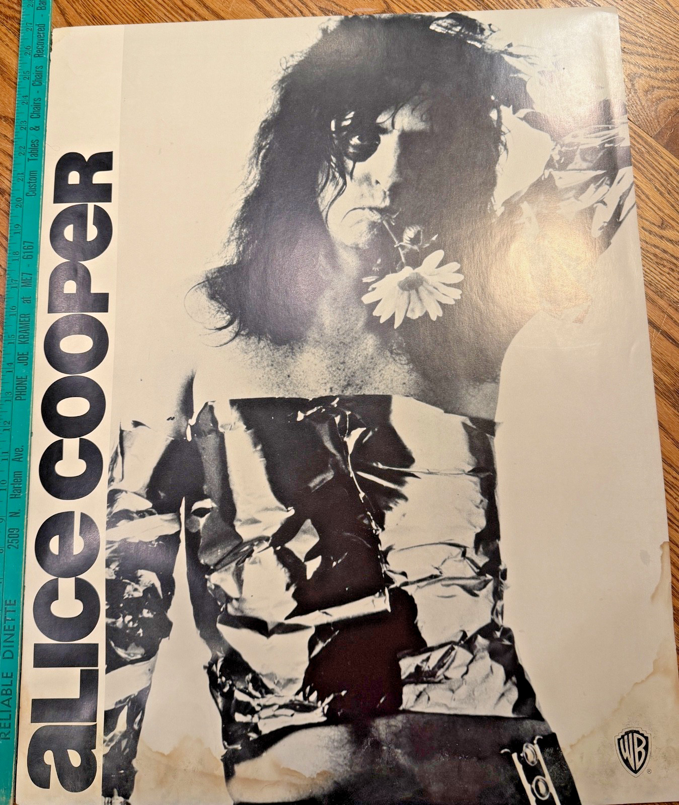 ALICE COOPER ORIGINAL 1973 US PROMOTIONAL POSTER   21 x 27 THIN CARDSTOCK KILLER