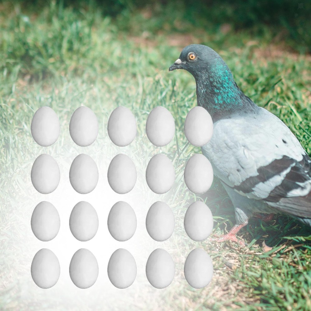 20 Pieces Solid Plastic Simulation Pigeon Eggs for Birds to Stop Laying Eggs