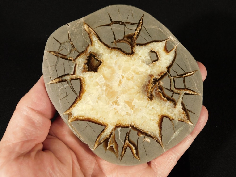 Polished FLUORESCENT SEPTARIAN Nodule Slab with Stand From Utah 252gr