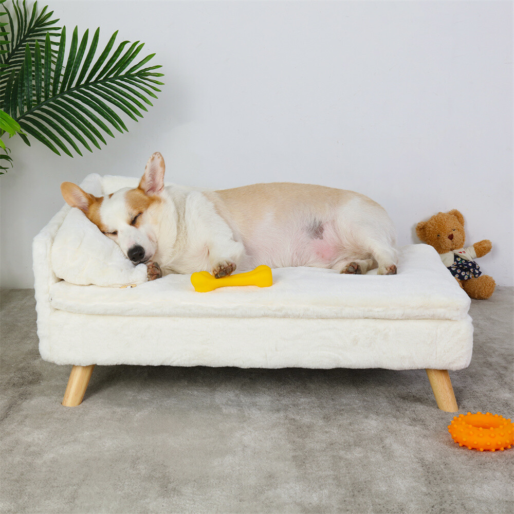 Modern Pet Sofa Low Back Lounging Bed With Removable Cushion Pillow For Dog Cat