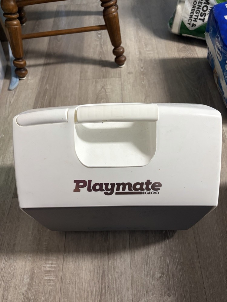 Playmate Igloo Cooler