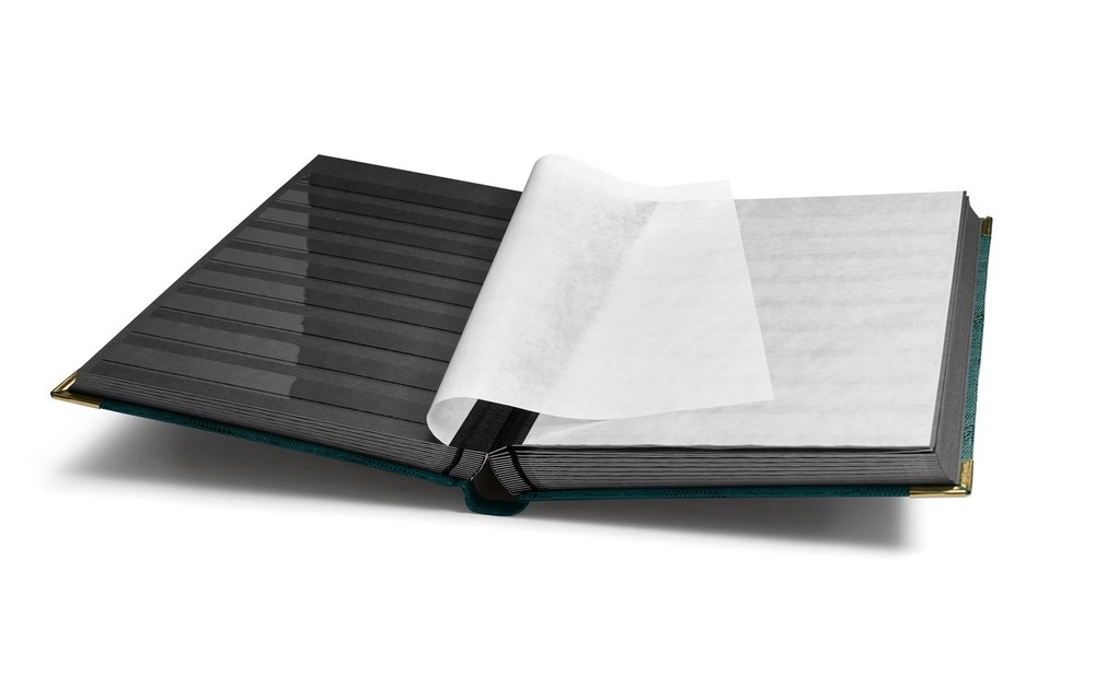 Lighthouse Comfort Deluxe Stockbook 9x12 Hunter Green Stamp Album 64 Black Pages