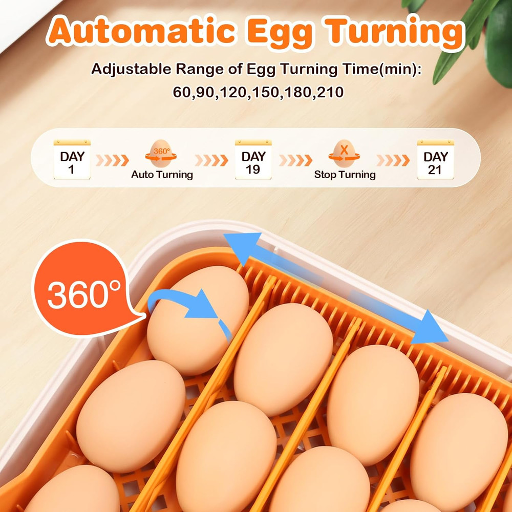 56 Egg Incubator with Auto-Turning, Hatching Temperature & Humidity Control