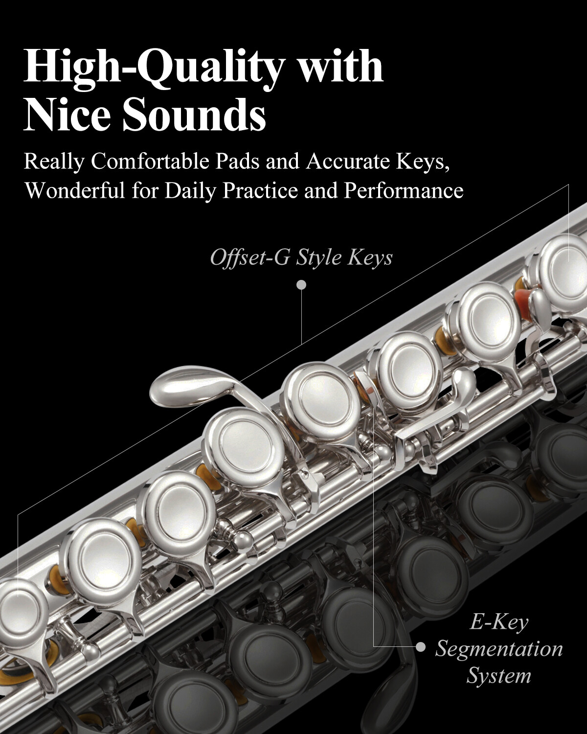 🎵 Eastar CONCERT FLUTE WITH CARRY CASE STAND FOR STUDENT SCHOOL BAND FLUTES