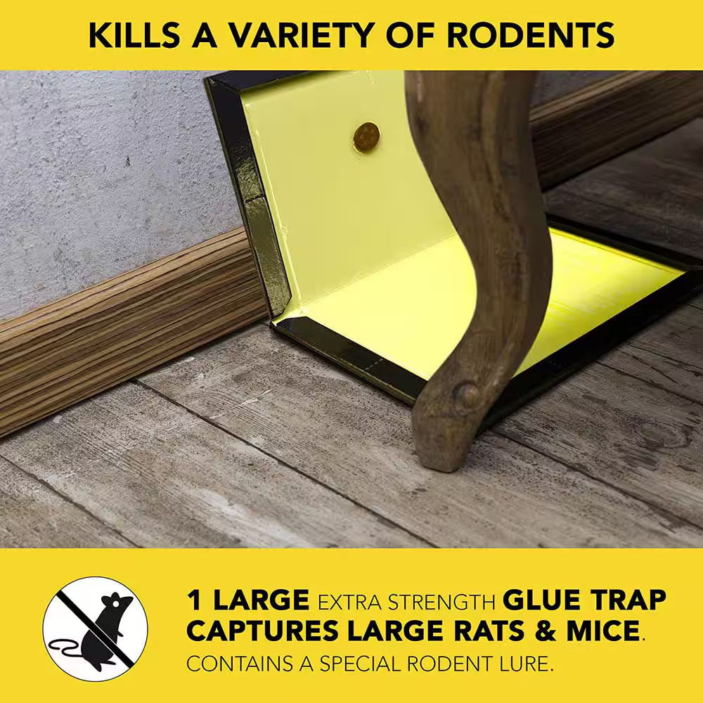 Rat and Mouse Glue Trap Super-Size (5-Pack)