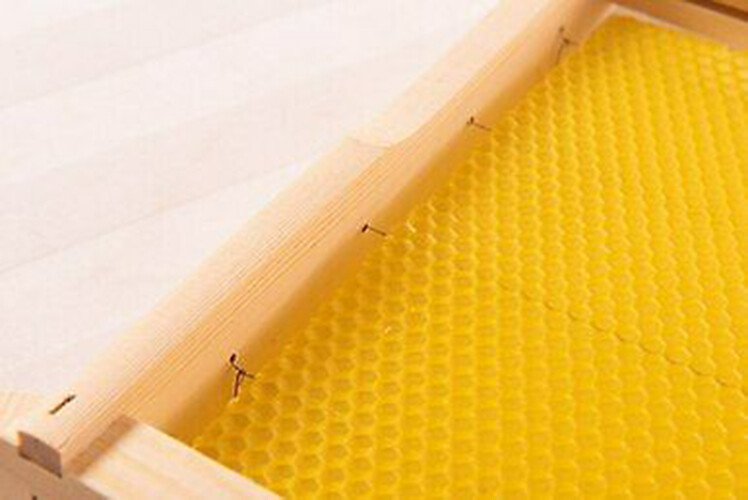 20 Bee Foundation Deep Bee Hive Wax Foundation Bee Hive Frames with Wire