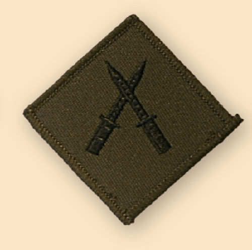 SUBDUED SECTION COMMANDERS BATTLE COURSE SCBC BADGE
