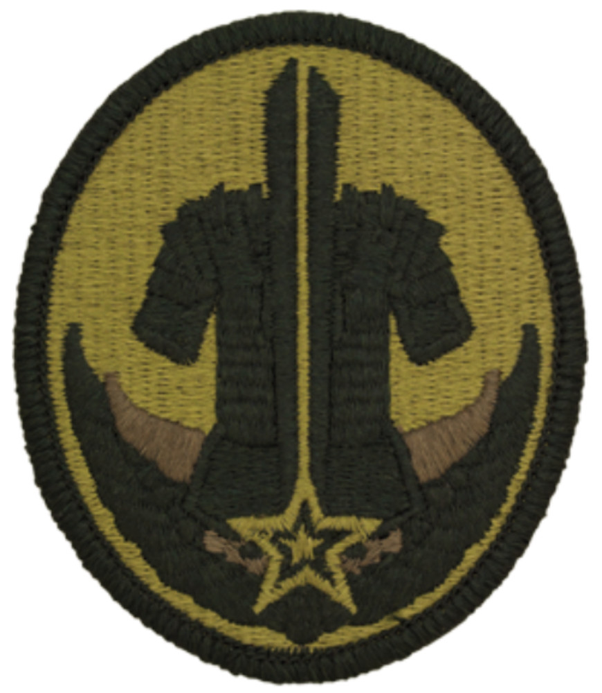 Army Reserve Careers Division OCP Patch - U.S. Army Patch