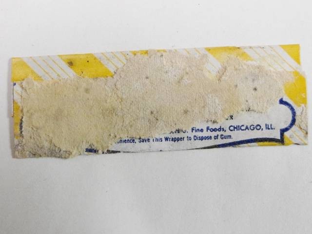 Curtiss Hawaiian Fruit Chewing Gum Wrapper Book-3