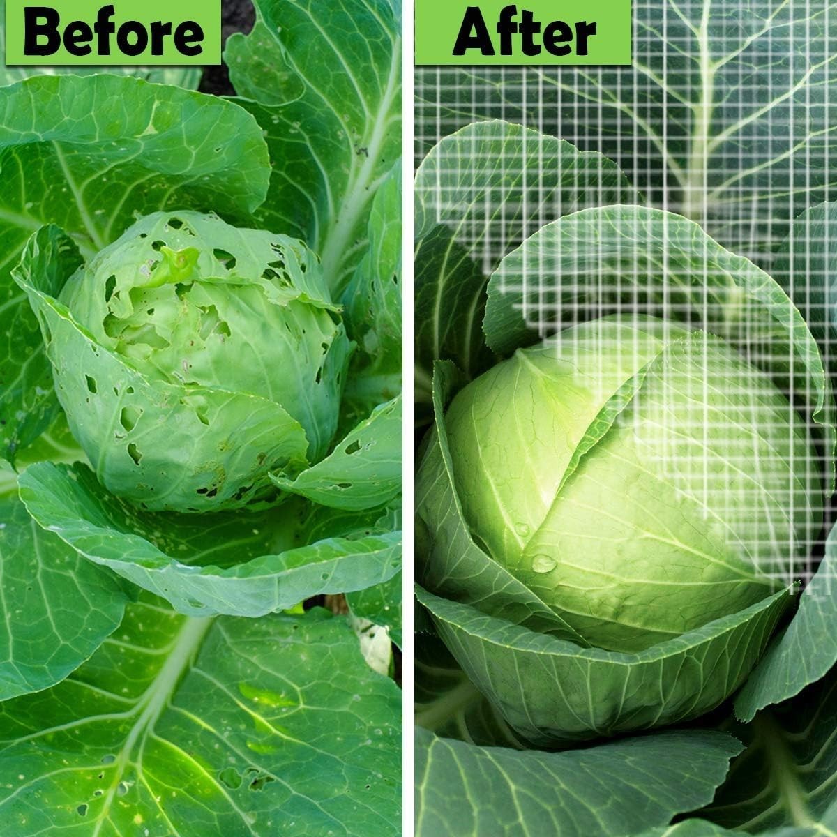 Versatile 10ft x 10ft Ultra Fine Mesh Plant Covers for Gardens & Greenhouses