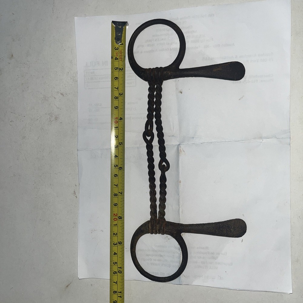 Twisted wire O ring Horse Bit