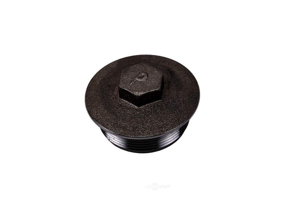 Differential Carrier Fill Plug