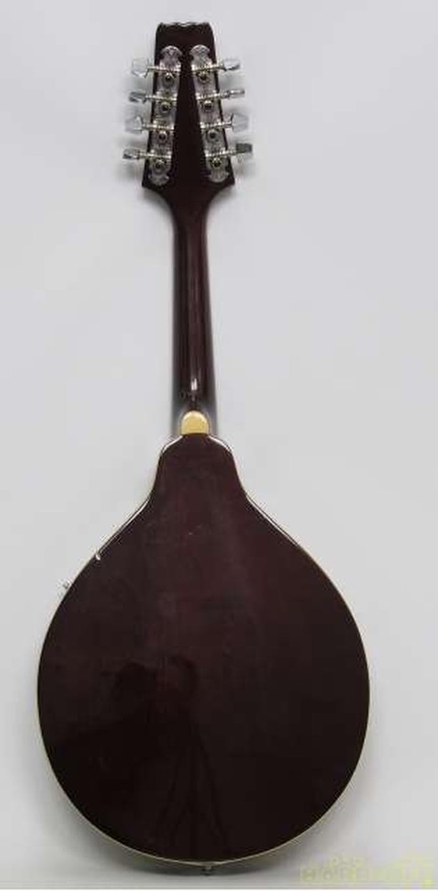 ARIA AM200E/BS Mandolin-01