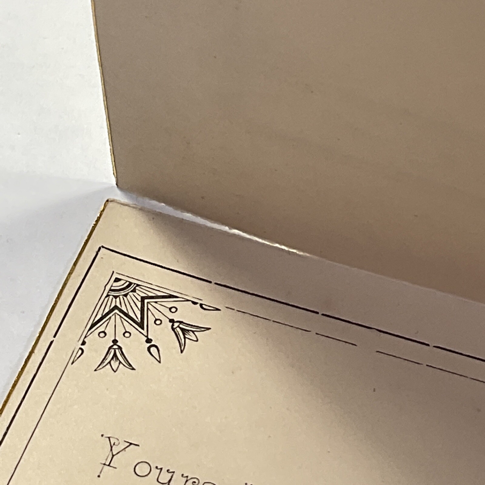 1883!! Madison County, Ohio, London, Social Hop Party Invitation Paint Township