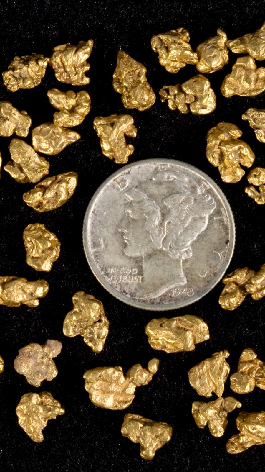 Yuba River Gold Unsearched Paydirt Plus Added Gold Straight from the River rich