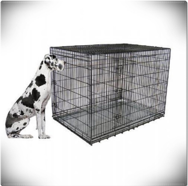 XXL Large Dog Crate Kennel Extra Huge Folding Pet Wire Cage Giant Breed Size