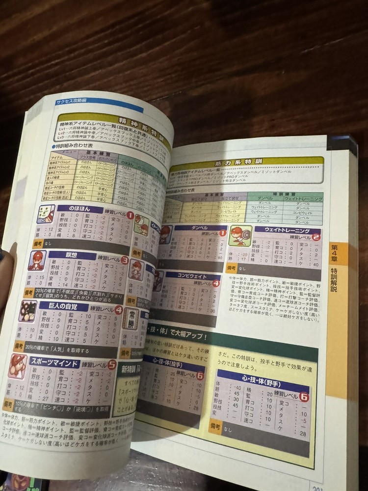 JIKKYOU POWERFUL PRO BASEBALL 7 Perfect Guide PS2 Book