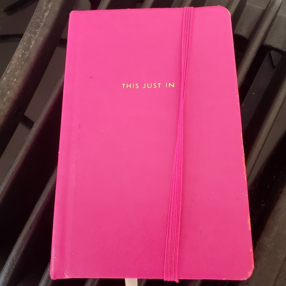 Kate Spade THIS JUST IN Lined Notebook Small Size Gold Edge Elastic Strap Damage
